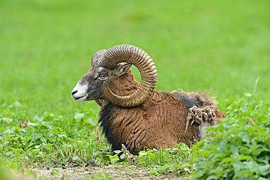 支持力度全面跃升 “中国之星计划”第四期启动，助力中国游戏出海升级