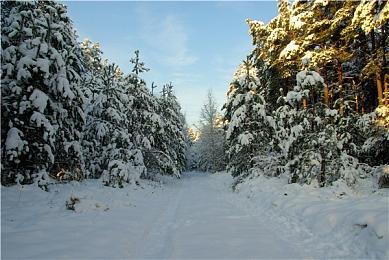 《霍格沃茨之遗》新预告 PS独家任务“闹鬼商店”